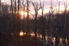 Sunset over the beaver pond