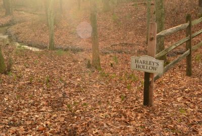 Harley's Hollow