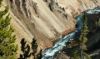 Grand Canyon of the Yellowstone - Looking down river