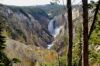 Grand Canyon of the Yellowstone - Lower Falls from Artist's Point