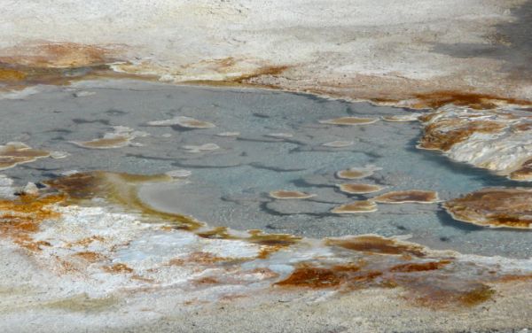 Mammoth Hot Springs - Pallette Spring (above)